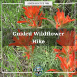 Wildflower Hike Profile Photo