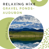 Blackbird pond morning hike and mindfulness Profile Photo