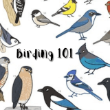 Birding 101 Profile Photo