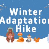 Winter Adaptations Hike Profile Photo