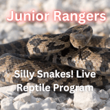 Junior Rangers: Silly Snakes! Live Reptile Program Profile Photo