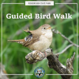 CANCELED: Guided Bird Walk Profile Photo