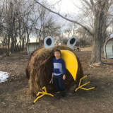 Bald Eagle Festival Profile Photo