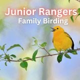Junior Rangers: Family Birding Profile Photo