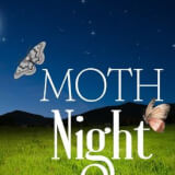 Moth Night with Mile High Bug Club Profile Photo