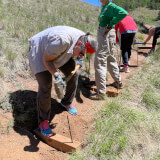 Park volunteers working on a meadow hillside with hand tools installing steps on a hiking trail.