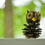 Pinecone: Animal Tracks Profile Photo