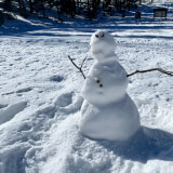 Junior Naturalist Winter Detective Profile Photo