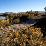 Wooden bridge overlooking Mack Mesa Lake